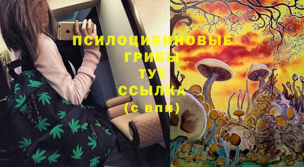 PSILOCYBIN Абаза
