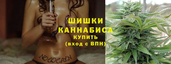 PSILOCYBIN Абаза