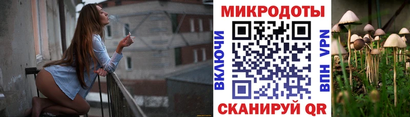 Псилоцибиновые грибы Psilocybine cubensis  даркнет Telegram  кракен ONION  Знаменск  где продают  